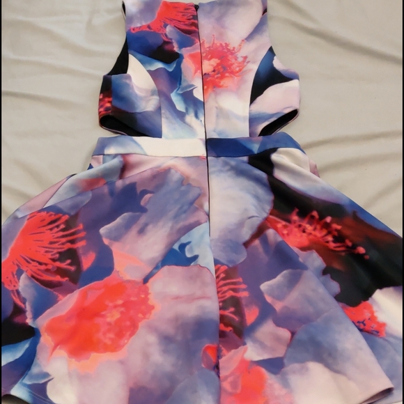 Bebe Dress - Picture 3 of 3